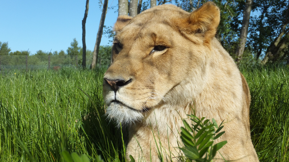 Five Sisters Zoo Edinburgh